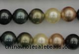 CSB361 15.5 inches 12mm round mixed color shell pearl beads
