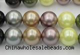 CSB364 15.5 inches 12mm round mixed color shell pearl beads