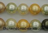 CSB374 15.5 inches 14mm round mixed color shell pearl beads