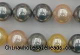 CSB377 15.5 inches 14mm round mixed color shell pearl beads
