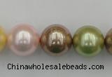 CSB393 15.5 inches 16mm round mixed color shell pearl beads