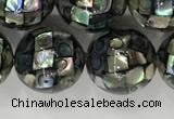 CSB4034 15.5 inches 14mm ball abalone shell beads wholesale