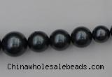 CSB405 15.5 inches 8mm - 16mm round shell pearl beads