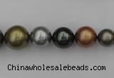 CSB410 15.5 inches 8mm - 16mm round mixed color shell pearl beads