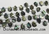 CSB4186 Top drilled 10*14mm flat teardrop balone shell beads