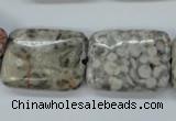 CSF09 15.5 inches 18*25mm rectangle shell fossil jasper beads
