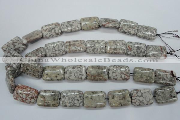 CSF09 15.5 inches 18*25mm rectangle shell fossil jasper beads