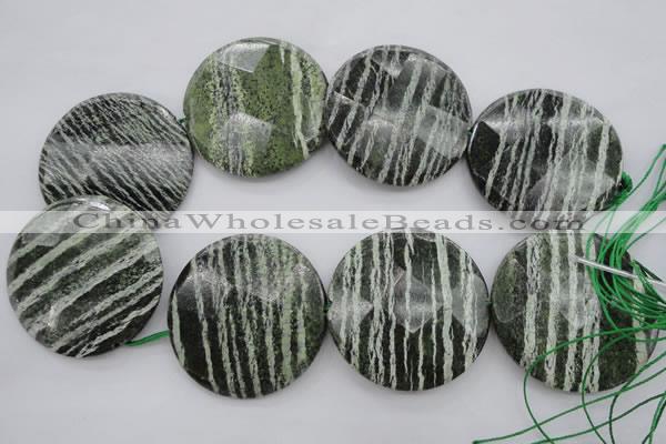 CSJ126 15.5 inches 50mm faceted coin green silver line jasper beads