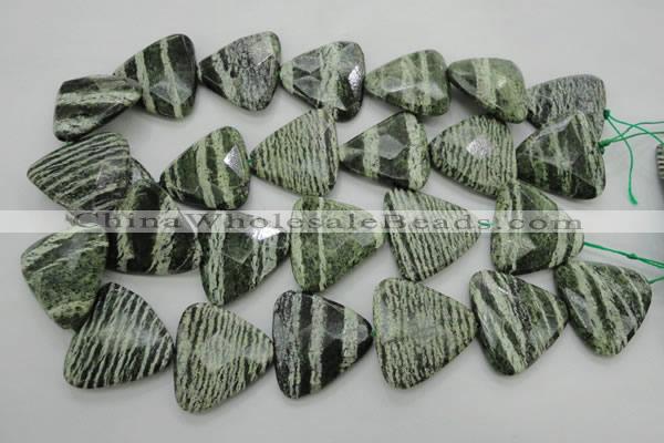 CSJ130 15.5 inches 30*30mm faceted triangle green silver line jasper beads