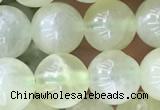 CSJ312 15.5 inches 7mm round serpentine new jade beads