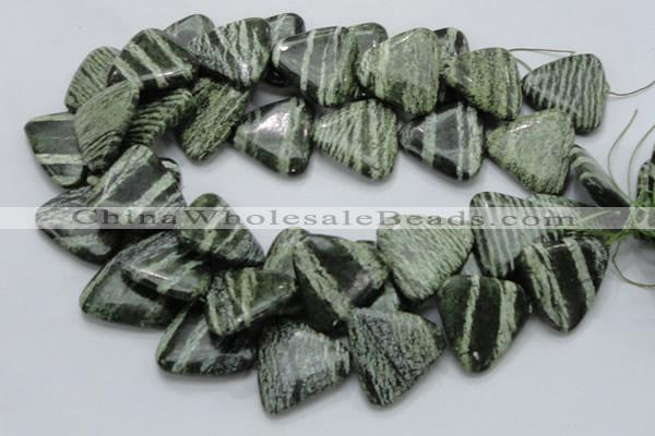 CSJ35 15.5 inches 30*30mm triangle green silver line jasper beads
