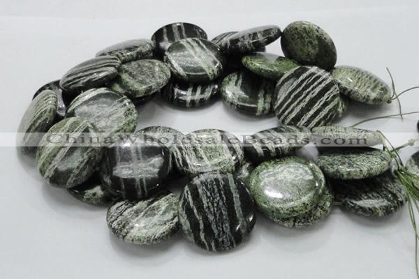 CSJ47 15.5 inches 35mm flat round green silver line jasper beads
