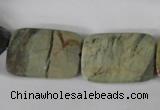 CSL121 15.5 inches 18*25mm faceted rectangle silver leaf jasper beads