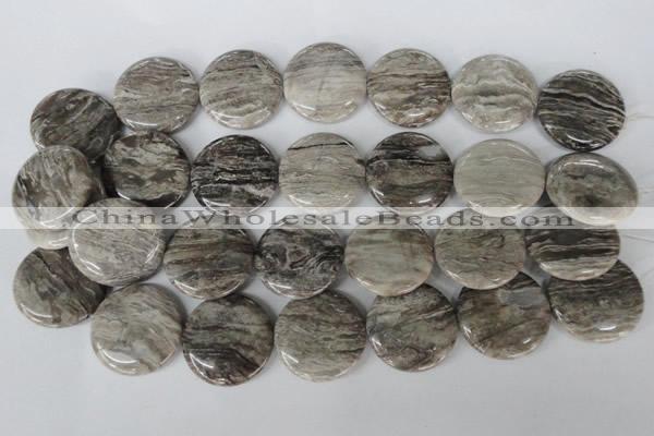 CSL35 15.5 inches 30mm flat round silver leaf jasper beads wholesale