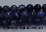 CSO611 15.5 inches 6mm round sodalite gemstone beads wholesale