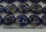 CSO671 15.5 inches 12mm flat round sodalite gemstone beads