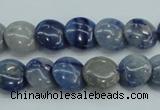 CSO80 15.5 inches 12mm flat round sodalite gemstone beads wholesale