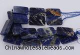 CSO822 15.5 inches 30*50mm - 32*52mm rectangle orange sodalite beads