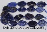 CSO824 15.5 inches 25*35mm - 30*40mm faceted freeform sodalite slab beads