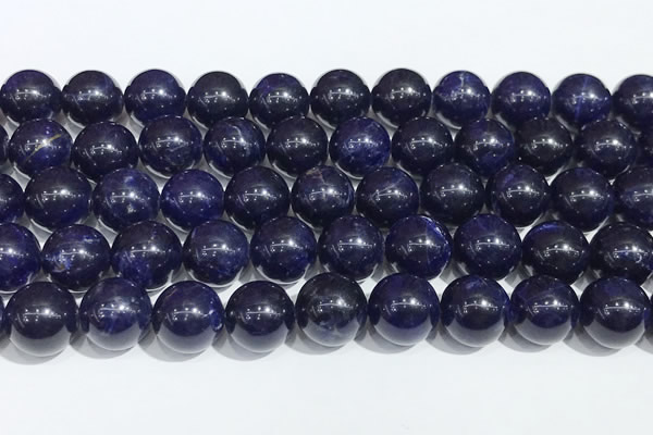 CSO901 15.5 inches 10mm round sodalite gemstone beads