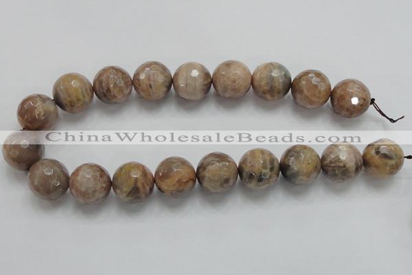 CSS102 15.5 inches 20mm faceted round natural sunstone beads wholesale