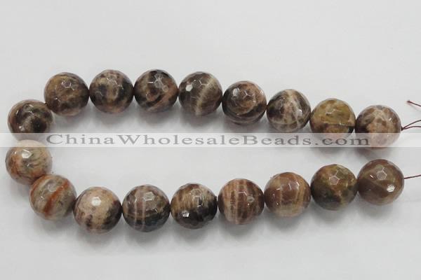 CSS103 15.5 inches 22mm faceted round natural sunstone beads wholesale