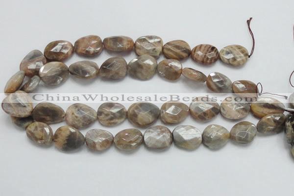 CSS111 15.5 inches faceted freeform natural sunstone beads wholesale