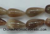CSS202 15.5 inches 10*12mm teardrop natural sunstone beads