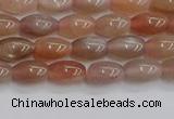 CSS265 15.5 inches 5*8mm rice sunstone beads wholesale