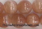 CSS706 15.5 inches 10mm round natural golden sunstone beads