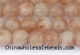 CSS790 15.5 inches 6mm round golden sunstone beads wholesale