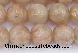 CSS792 15.5 inches 10mm round golden sunstone beads wholesale