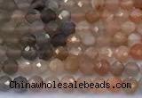CSS847 15 inches 4mm faceted round sunstone beads