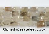 CTB872 13*25mm - 14*19mm faceted tube scenic quartz beads