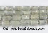 CTB876 13*25mm - 14*19mm faceted tube moonstone beads