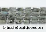 CTB878 13*25mm - 14*19mm faceted tube labradorite beads