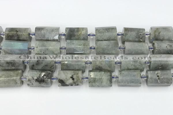 CTB878 13*25mm - 14*19mm faceted tube labradorite beads