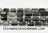 CTB891 15.5 inches 13*25mm - 14*19mm faceted tube eagle eye jasper beads