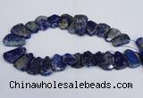 CTD2101 Top drilled 20*28mm - 25*35mm freeform lapis lazuli beads