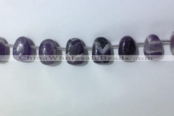 CTD2144 Top drilled 15*25mm - 18*25mm freeform dogtooth amethyst beads