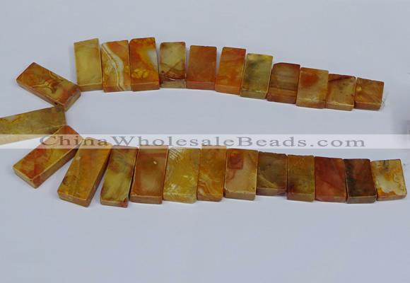 CTD2665 Top drilled 14*27mm - 16*42mm rectangle agate jasper beads