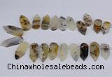 CTD2734 Top drilled 15*28mm - 18*45mm freeform montana agate beads