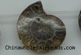 CTD365 Top drilled 25*35mm - 35*45mm carved ammonite gemstone beads