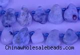 CTD3859 Top drilled 6*8mm - 10*12mm freeform larimar beads