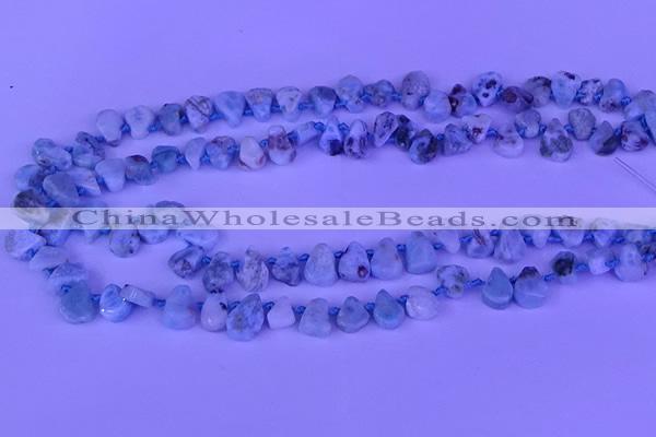 CTD3859 Top drilled 6*8mm - 10*12mm freeform larimar beads