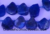 CTD3875 Top drilled 8*10mm - 10*12mm freeform apatite beads