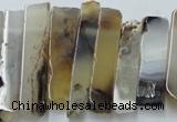 CTD831 Top drilled 8*30mm - 12*70mm sticks montana agate beads