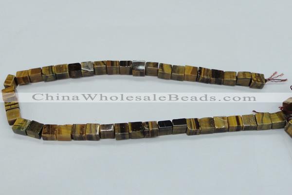 CTE121 15.5 inches 10*10mm cube yellow tiger eye beads wholesale