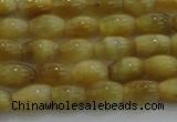 CTE1514 15.5 inches 5*8mm rice golden tiger eye beads wholesale