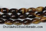 CTE158 15.5 inches 8*12mm rice yellow tiger eye gemstone beads